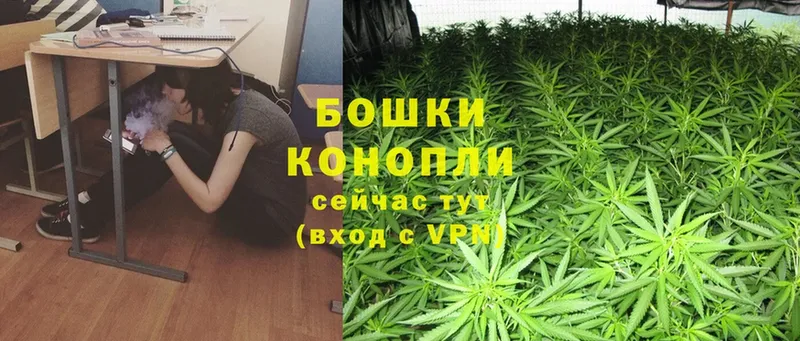 Бошки марихуана White Widow  Муравленко 